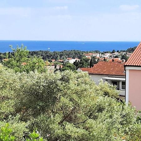 Apartment Miroslav Krk Town Luaran gambar